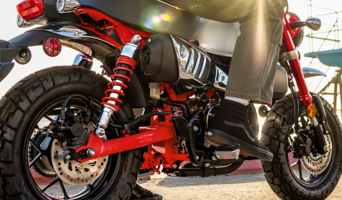 Twin Rear Shocks