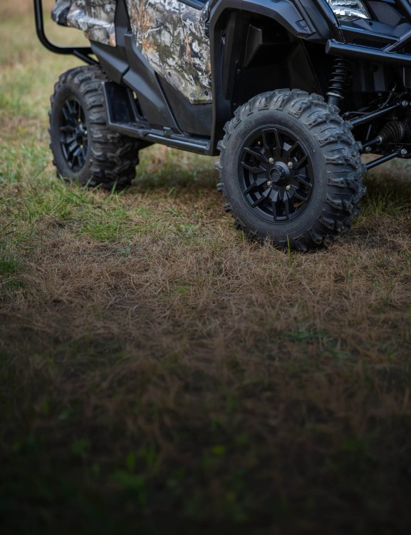 Forest Edition Features